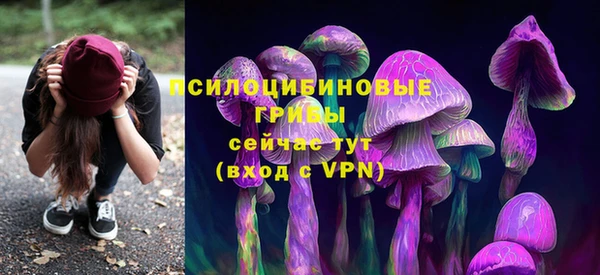 прущая мука Пересвет