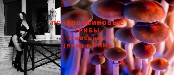 прущая мука Пестово