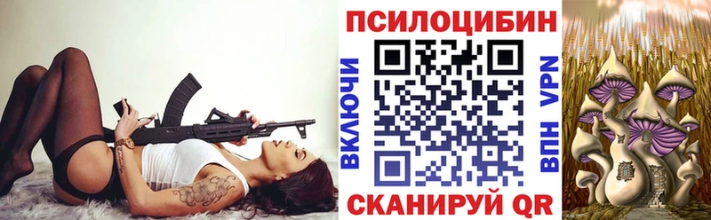 Галлюциногенные грибы Psilocybe Купить закладки Ясный